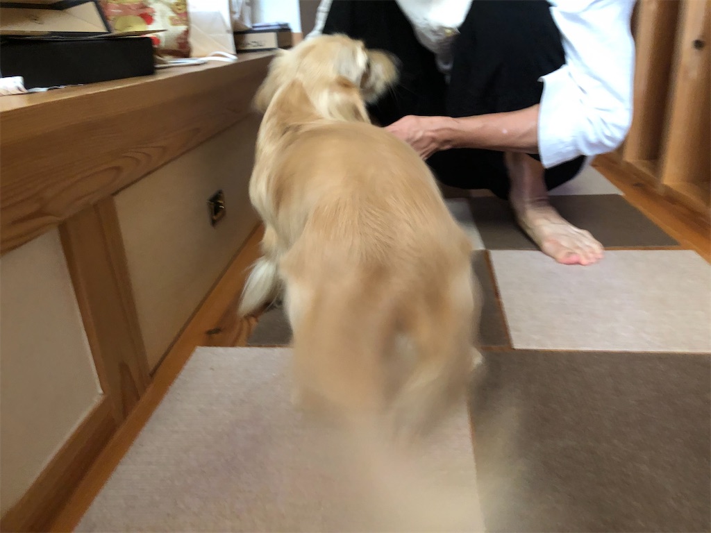 f:id:renkunno:20230811144843j:image