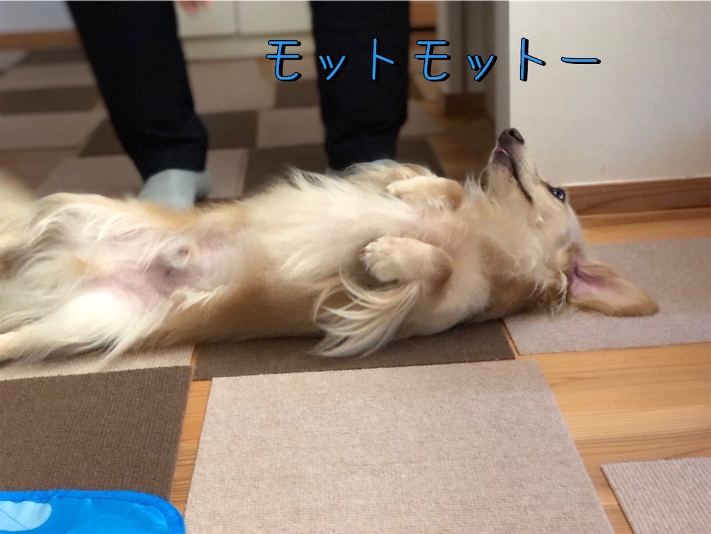f:id:renkunno:20230812101402j:image