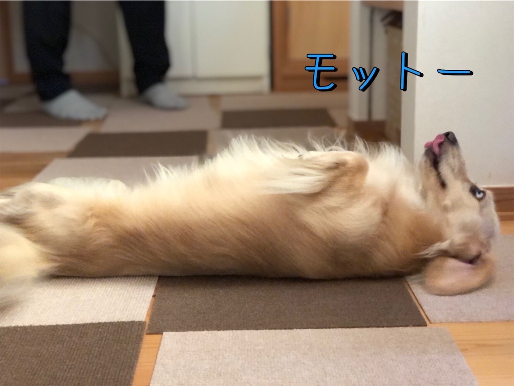 f:id:renkunno:20230812101406j:image