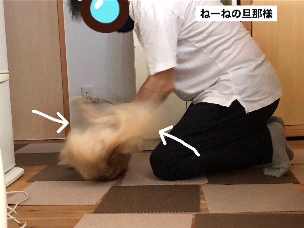 f:id:renkunno:20230812101409j:image