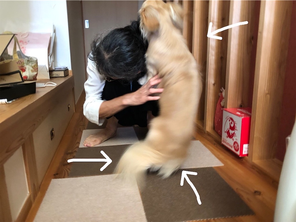 f:id:renkunno:20230812101412j:image