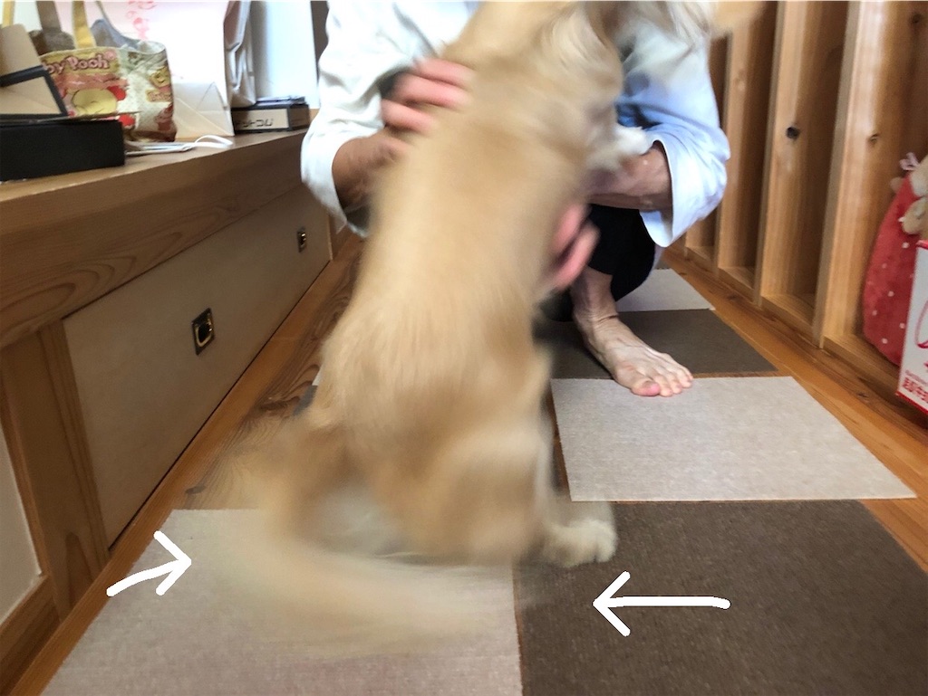 f:id:renkunno:20230812101416j:image