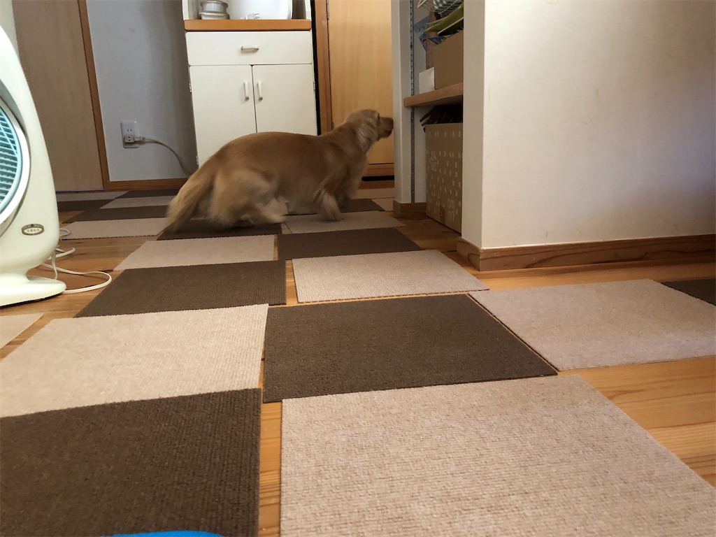 f:id:renkunno:20230812155651j:image