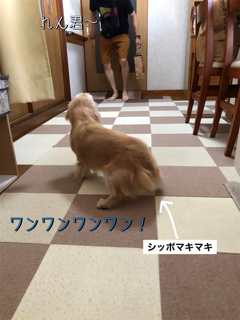 f:id:renkunno:20230813094637j:image
