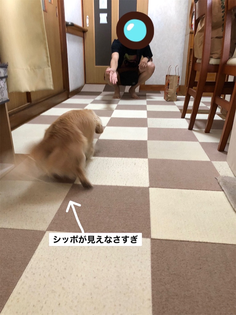 f:id:renkunno:20230813094640j:image