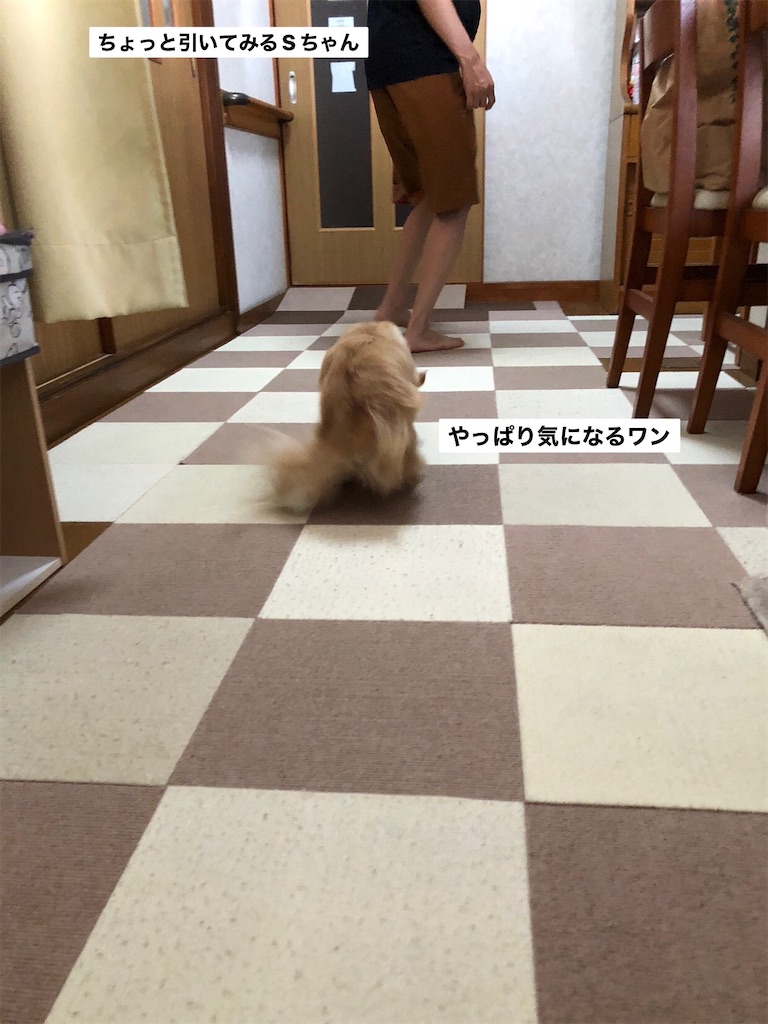 f:id:renkunno:20230813094644j:image