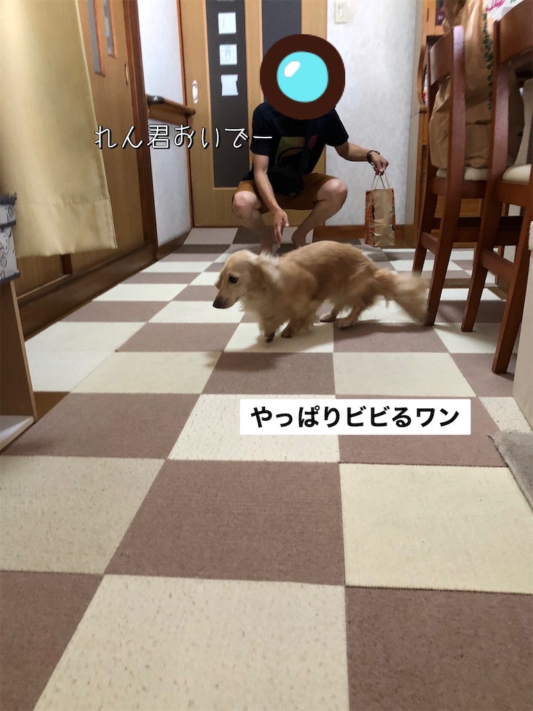 f:id:renkunno:20230813094647j:image
