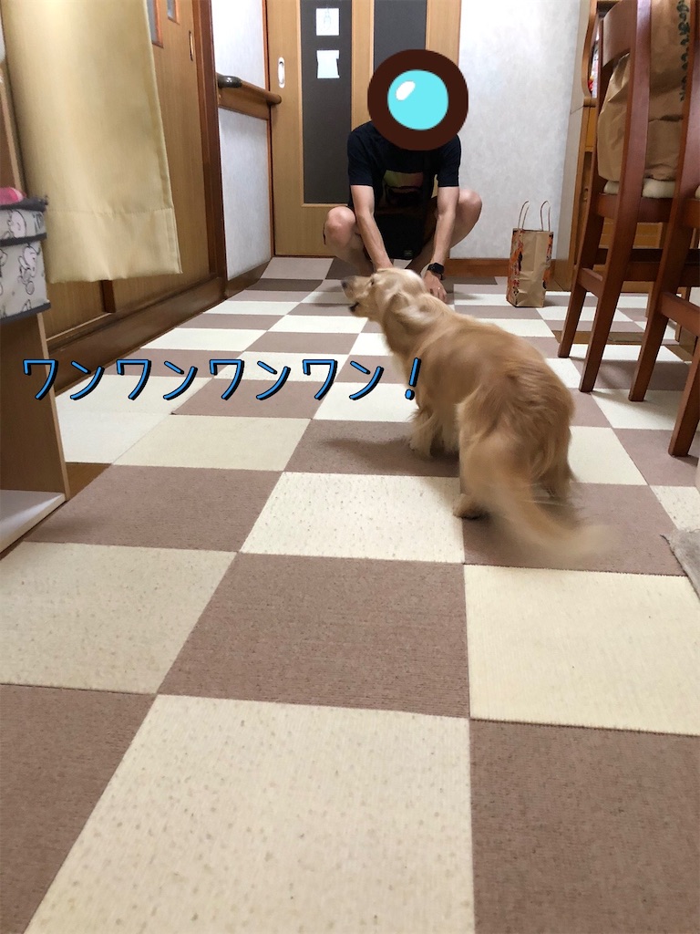 f:id:renkunno:20230813094651j:image