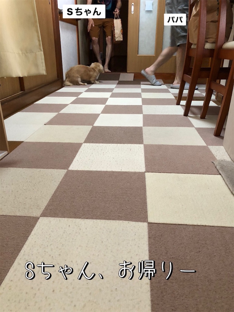 f:id:renkunno:20230813094654j:image