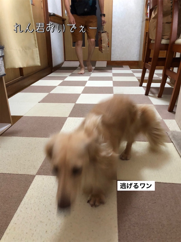 f:id:renkunno:20230813094657j:image