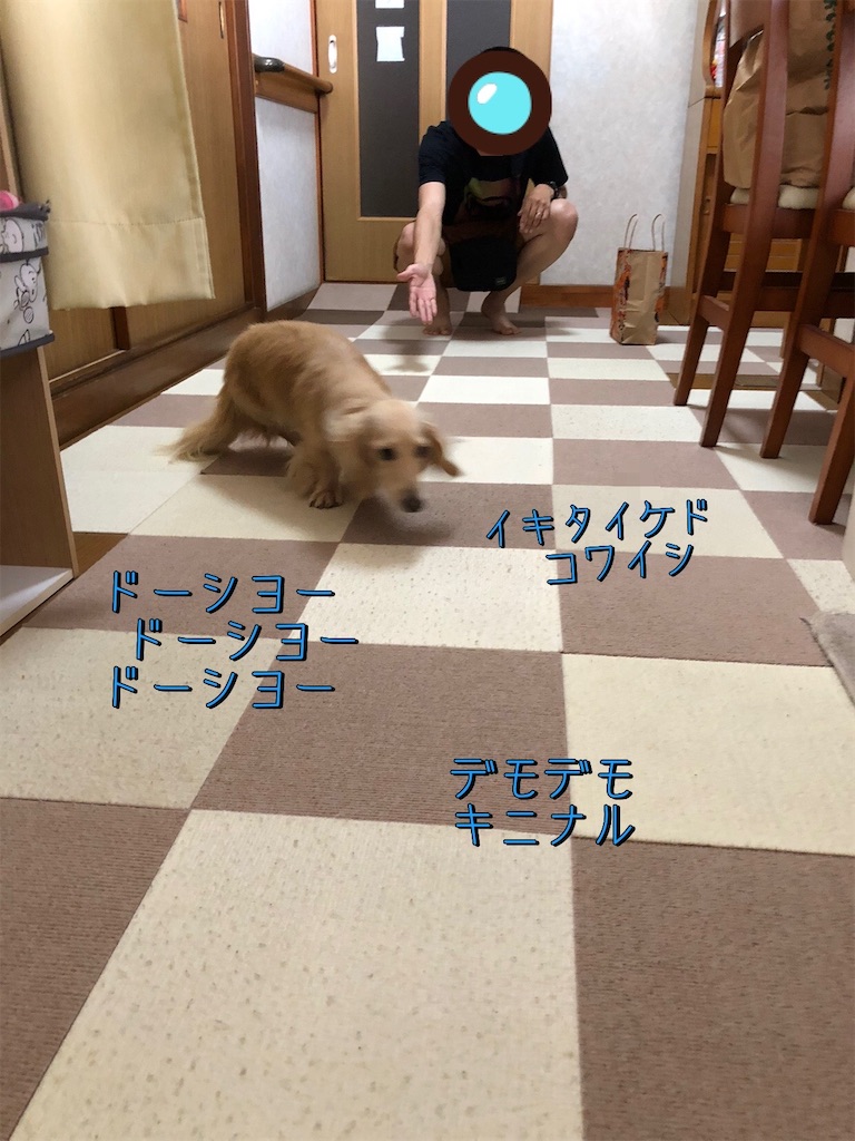f:id:renkunno:20230813094701j:image