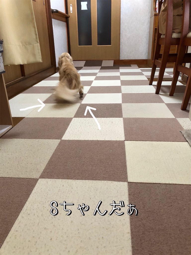 f:id:renkunno:20230813094705j:image