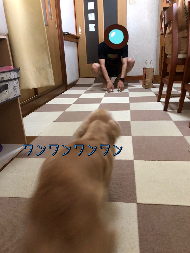 f:id:renkunno:20230813094713j:image