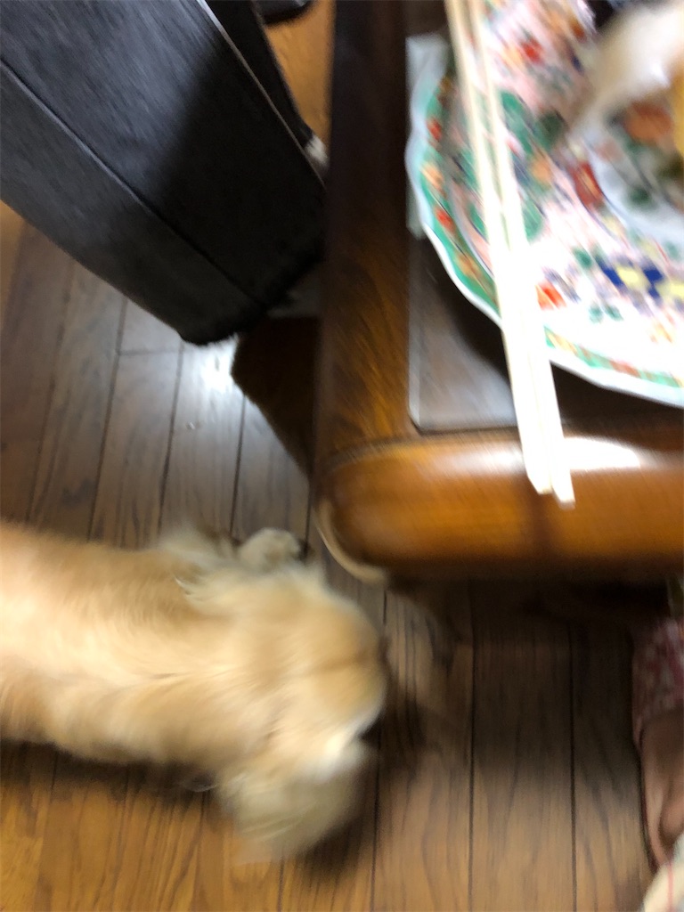 f:id:renkunno:20230813142020j:image
