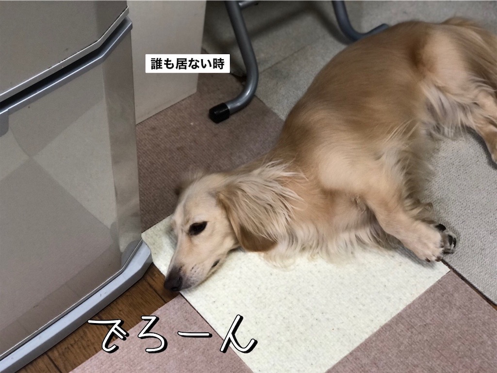 f:id:renkunno:20230814103425j:image