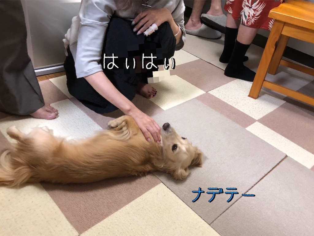 f:id:renkunno:20230815110035j:image