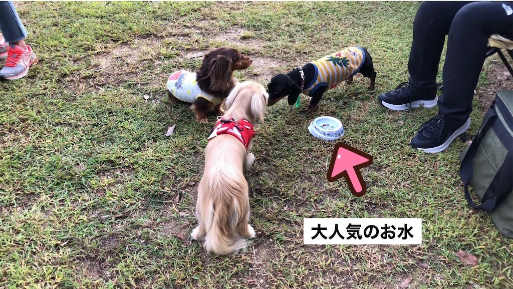 f:id:renkunno:20230822164504j:image