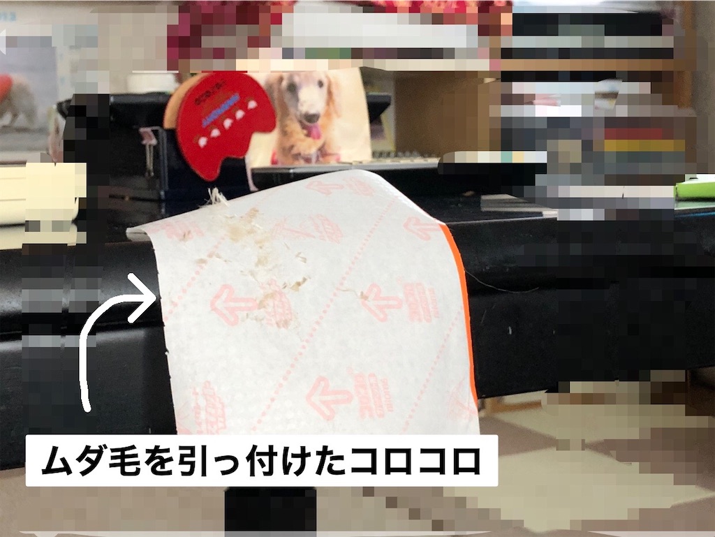 f:id:renkunno:20230823152852j:image