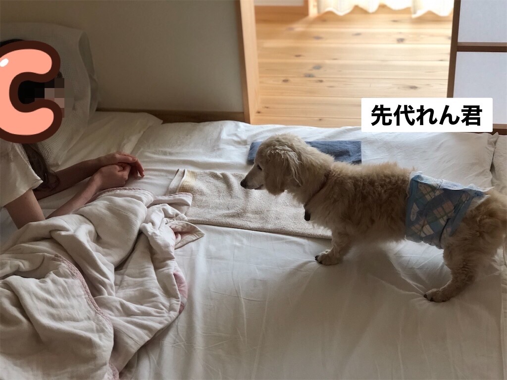f:id:renkunno:20230827085701j:image f:id:renkunno:20230827085701j:image