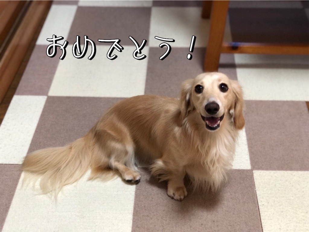 f:id:renkunno:20230827090156j:image f:id:renkunno:20230827090156j:image
