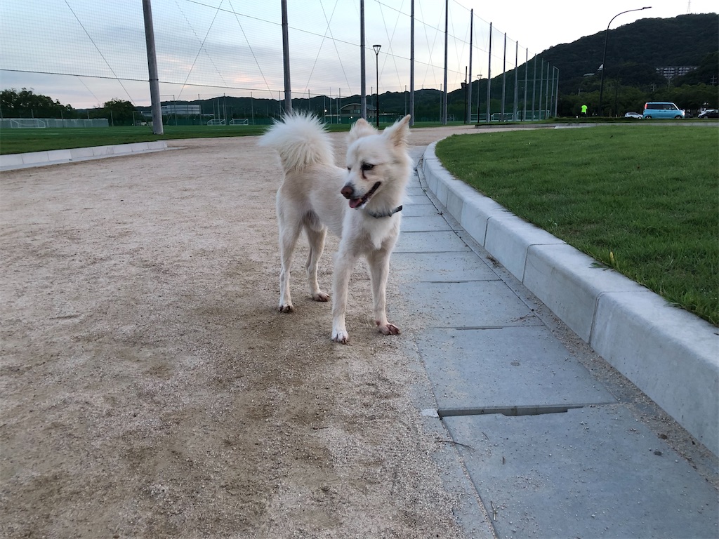 f:id:renkunno:20230828094142j:image