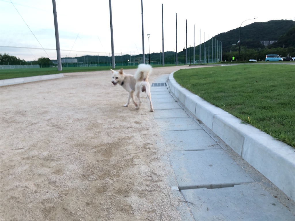 f:id:renkunno:20230828110333j:image