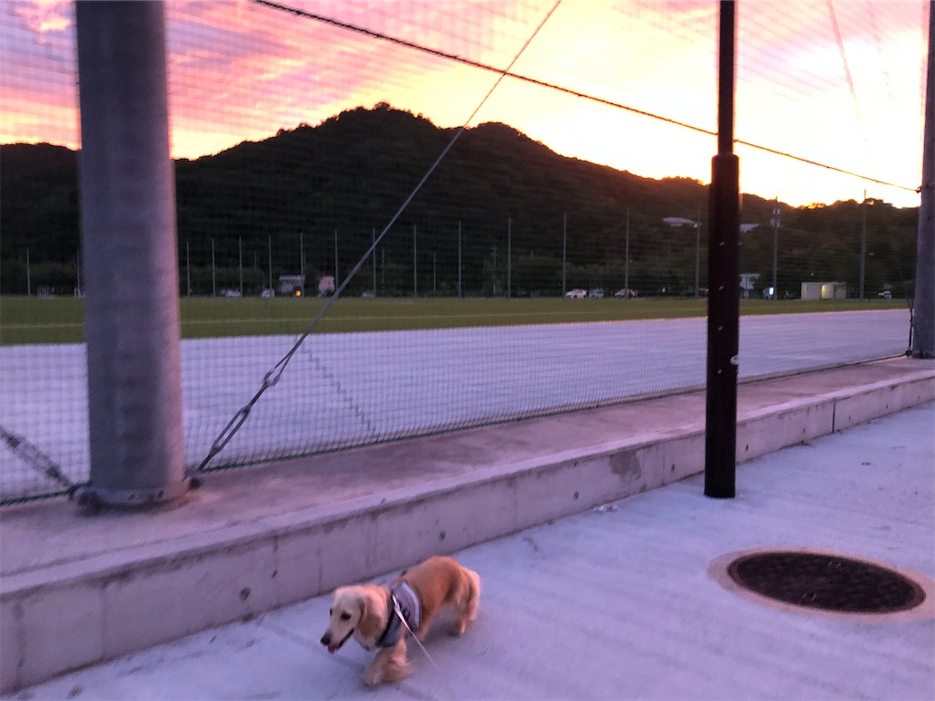 f:id:renkunno:20230901121306j:image