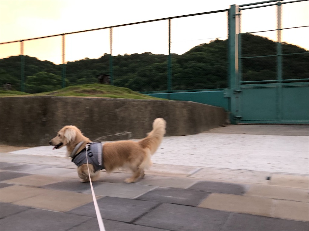 f:id:renkunno:20230901143337j:image