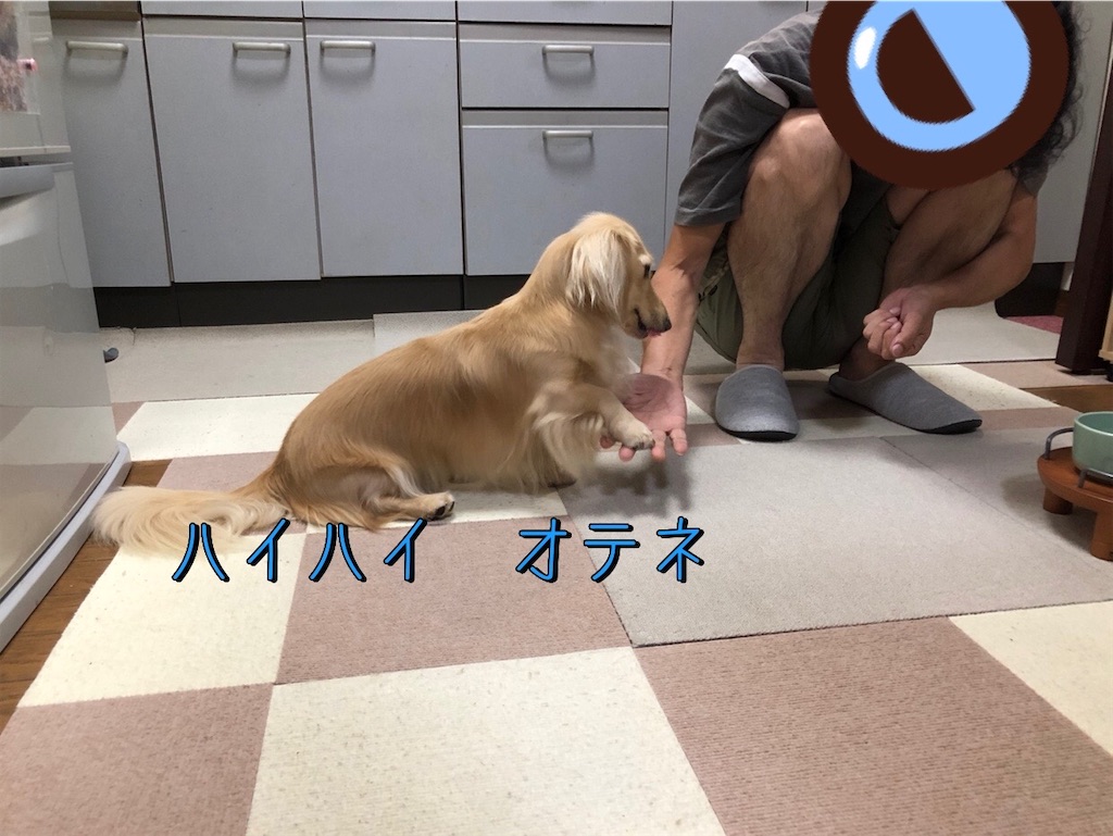 f:id:renkunno:20230902121640j:image
