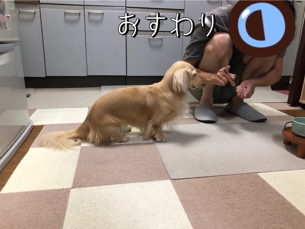 f:id:renkunno:20230902121643j:image