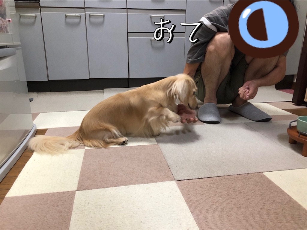 f:id:renkunno:20230902121647j:image