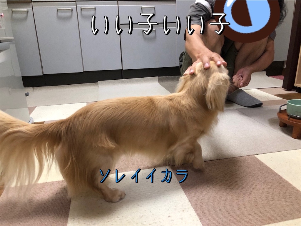 f:id:renkunno:20230902121651j:image