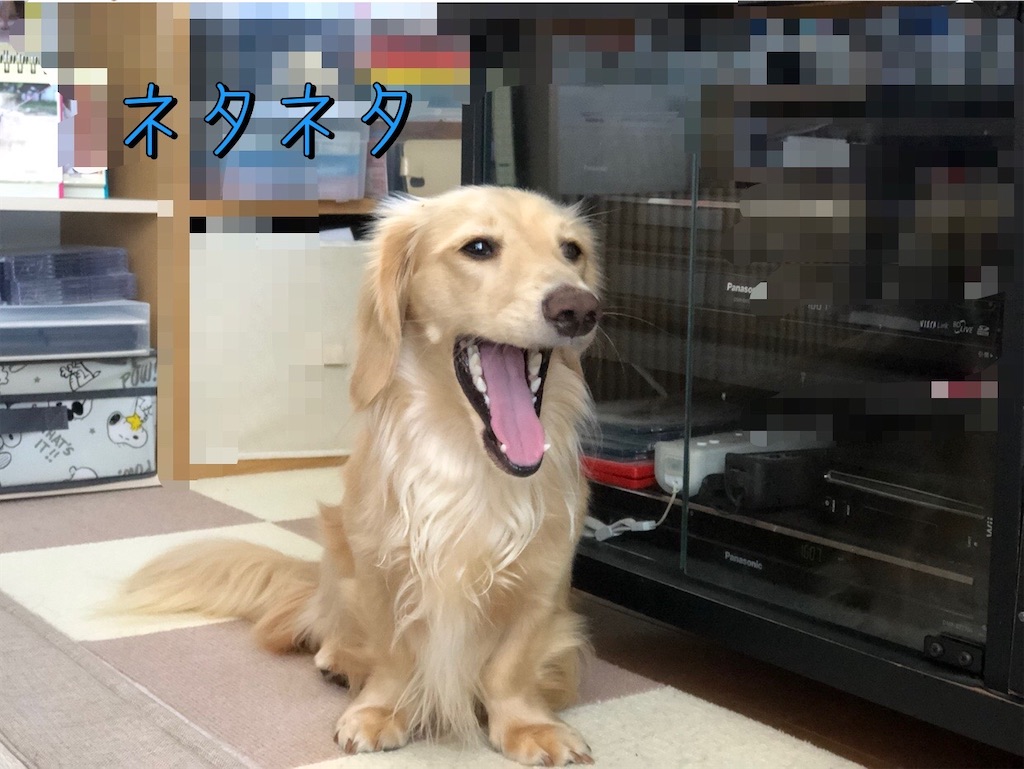 f:id:renkunno:20230903165404j:image f:id:renkunno:20230903165404j:image