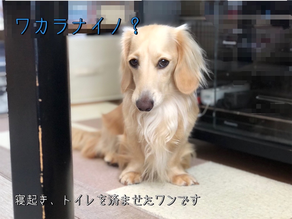 f:id:renkunno:20230903165425j:image f:id:renkunno:20230903165425j:image