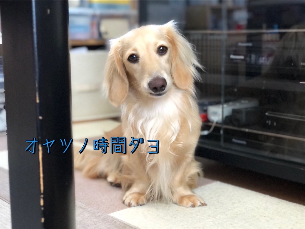 f:id:renkunno:20230903165428j:image f:id:renkunno:20230903165428j:image