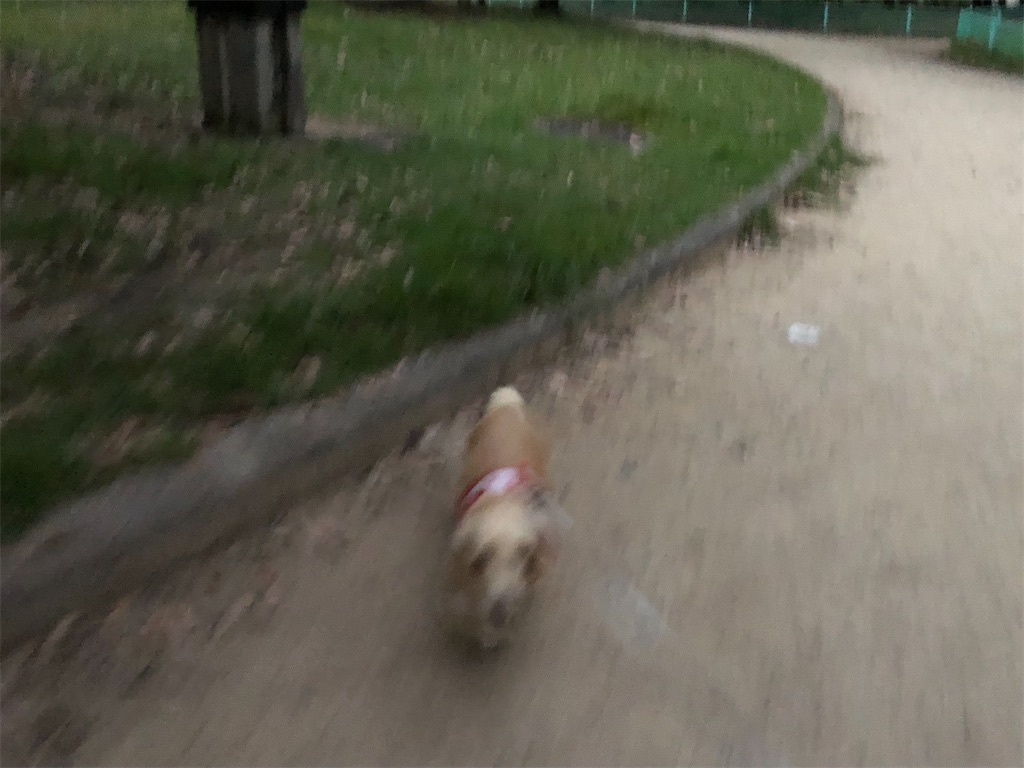 f:id:renkunno:20230905081110j:image f:id:renkunno:20230905081110j:image