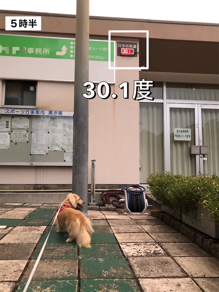 f:id:renkunno:20230908145552j:image f:id:renkunno:20230908145552j:image