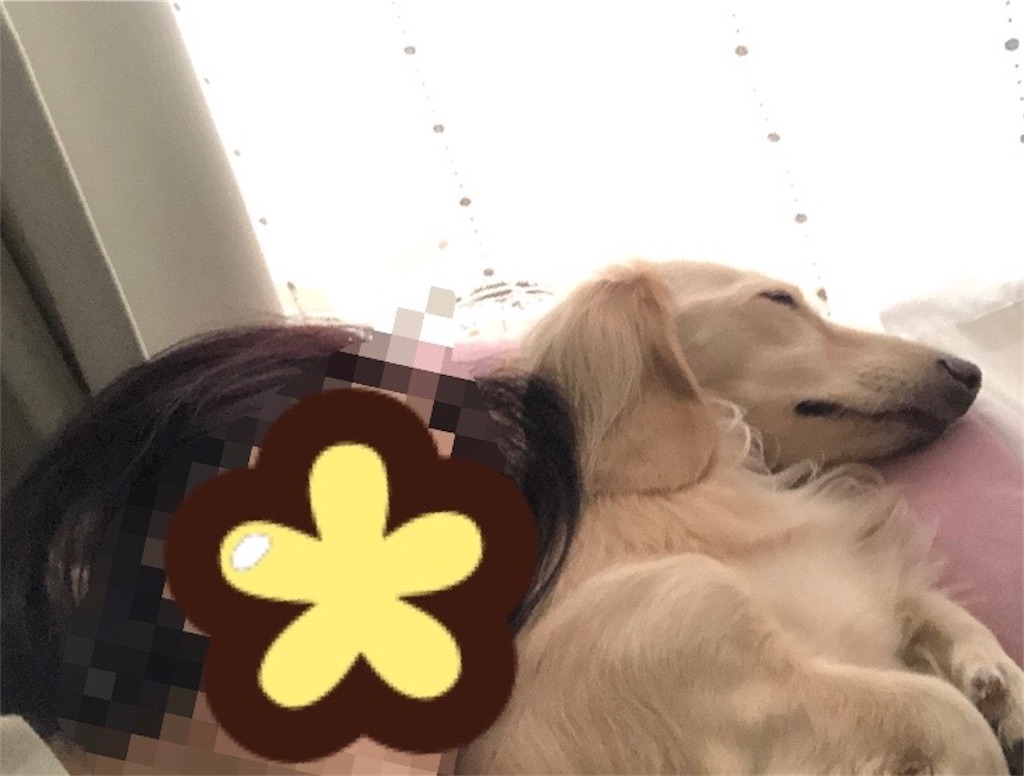 f:id:renkunno:20230908160650j:image f:id:renkunno:20230908160650j:image