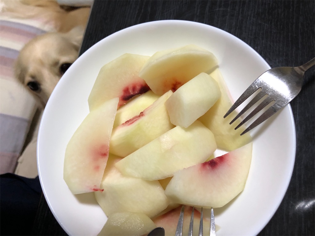f:id:renkunno:20230912103041j:image