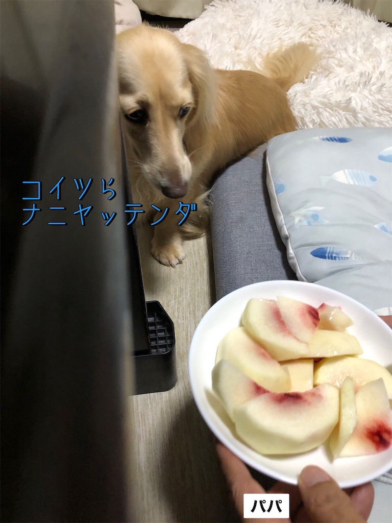 f:id:renkunno:20230912211312j:image