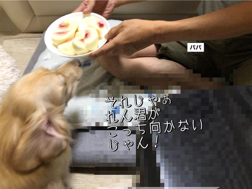 f:id:renkunno:20230912212202j:image