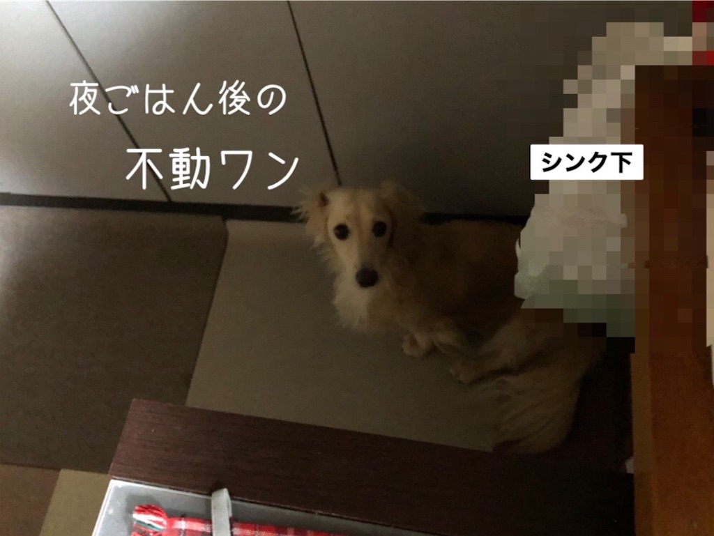 f:id:renkunno:20230913185244j:image