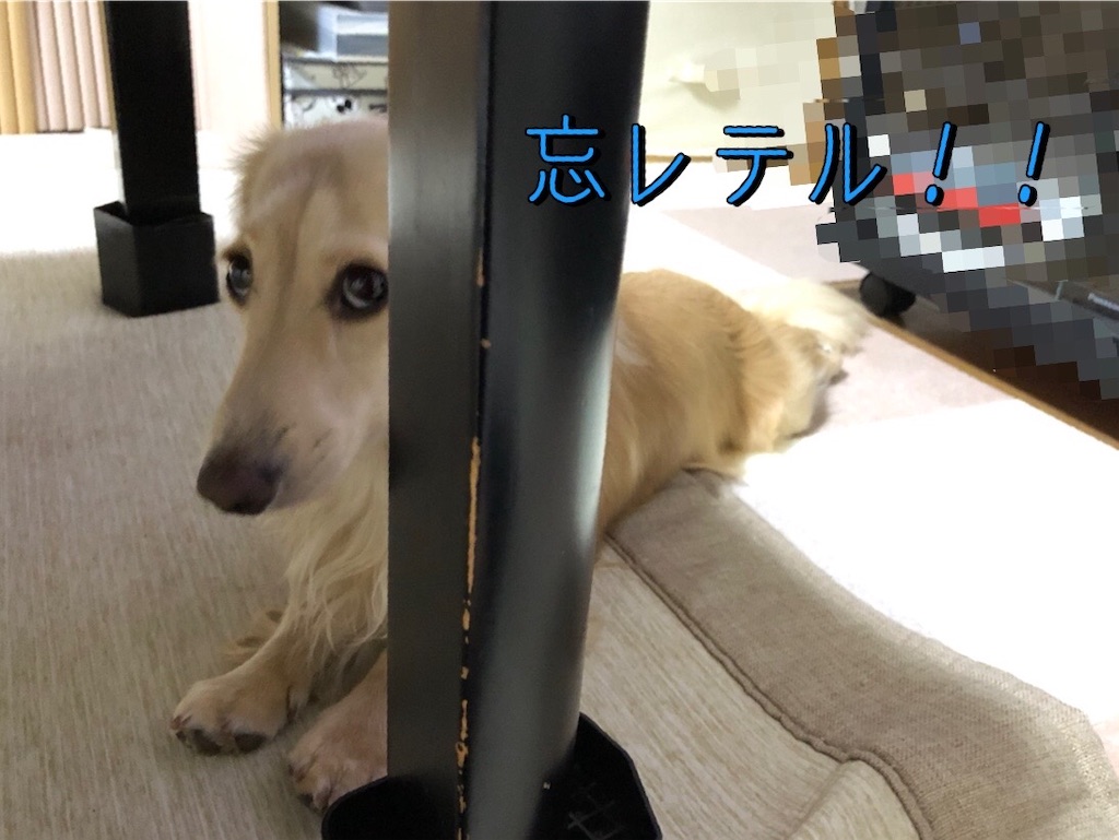f:id:renkunno:20230913185248j:image