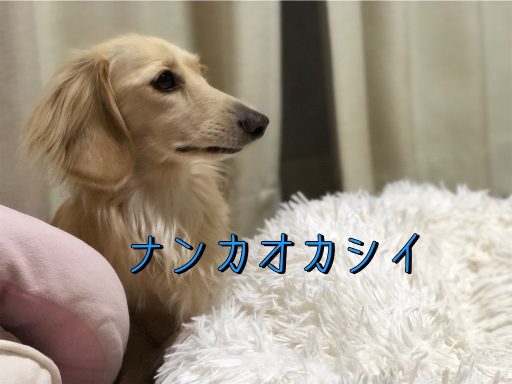 f:id:renkunno:20230913185251j:image