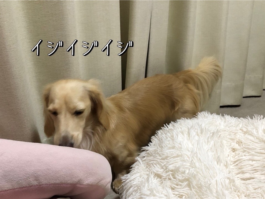 f:id:renkunno:20230913185254j:image