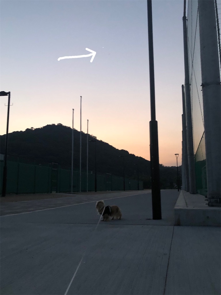 f:id:renkunno:20230916084440j:image