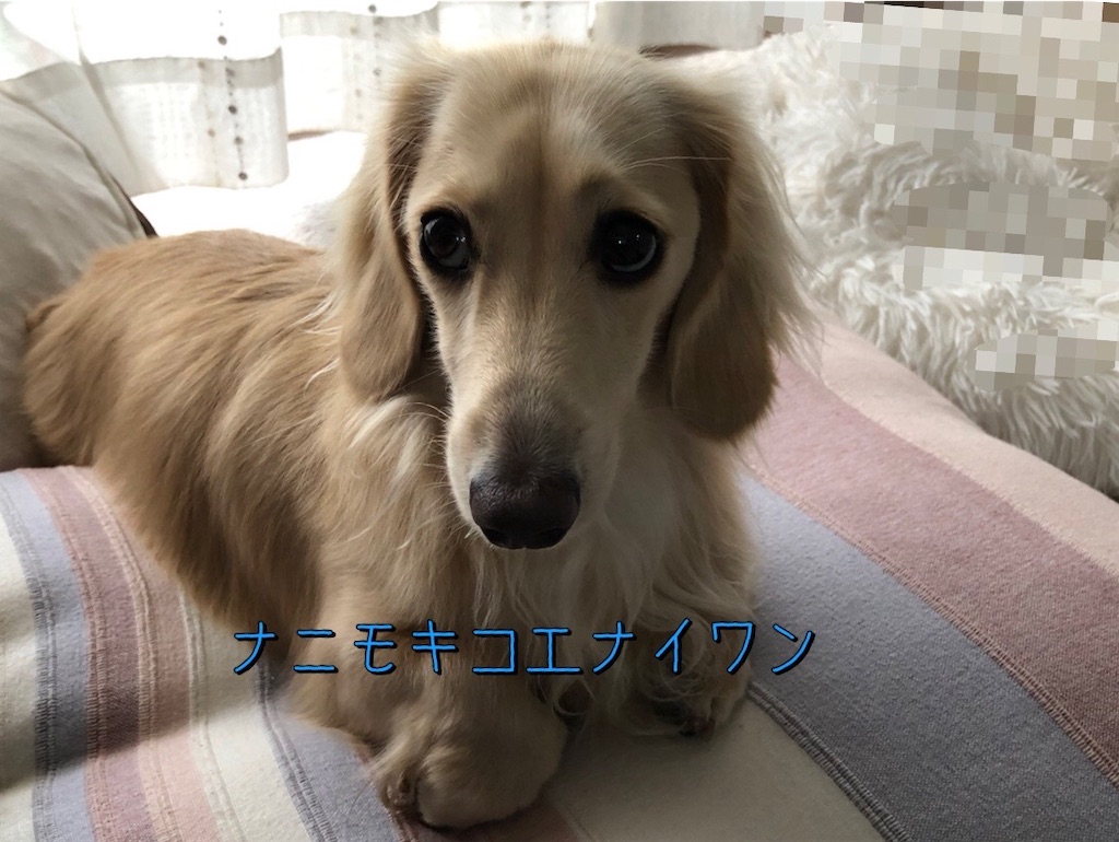 f:id:renkunno:20230920120542j:image