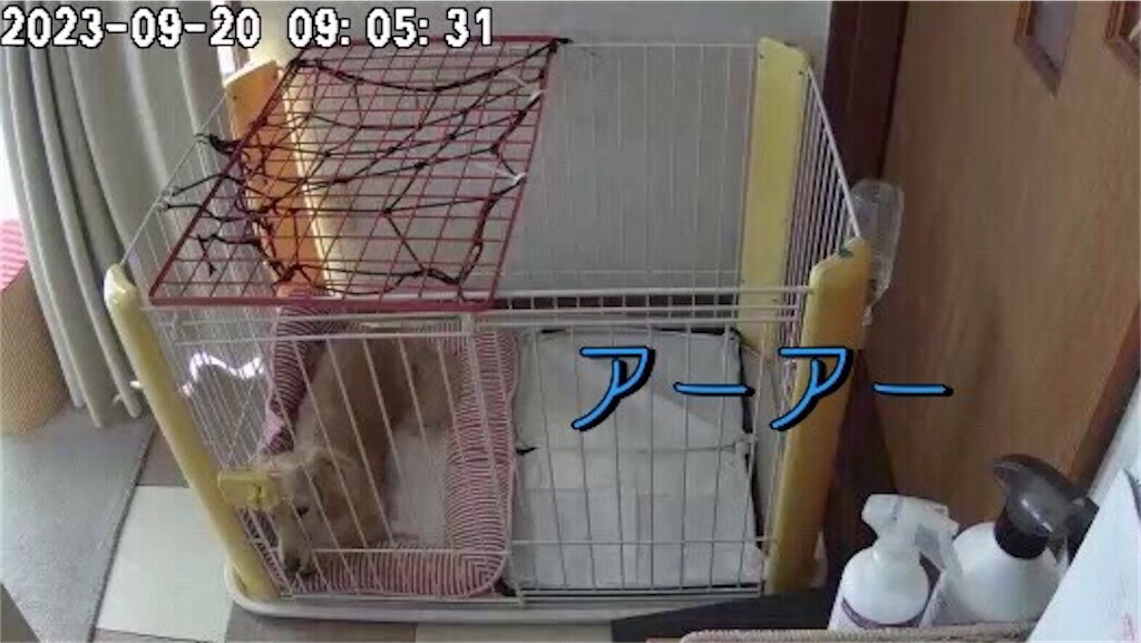 f:id:renkunno:20230920124834j:image