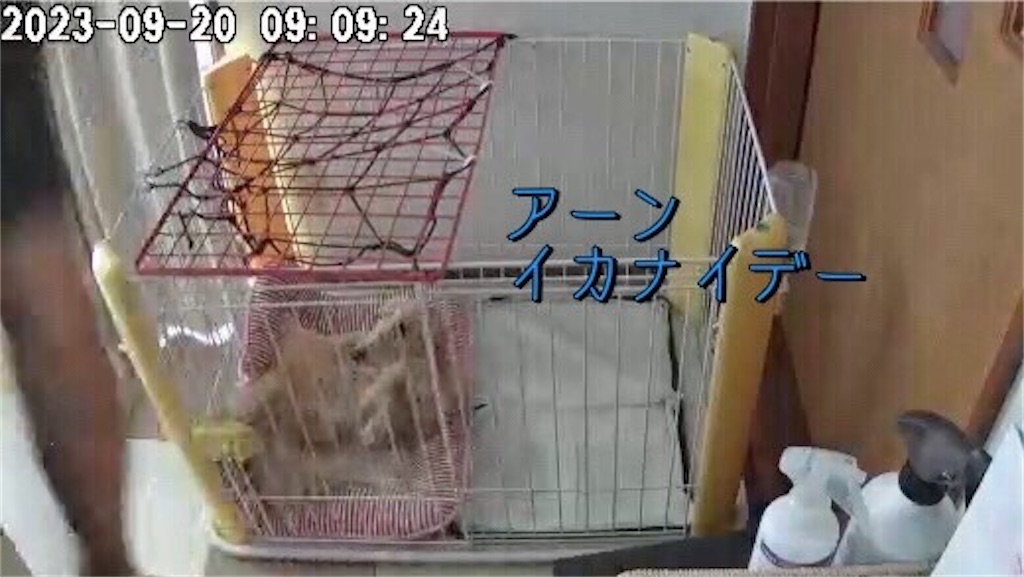 f:id:renkunno:20230920124845j:image