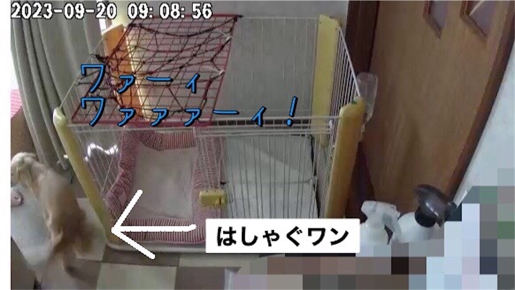 f:id:renkunno:20230920124855j:image